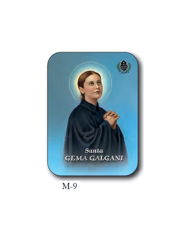 Estampa Con Oracion S-75/1 Virgen De...
