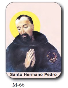 Estampa Mini M-66 Santo...