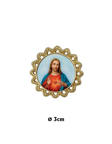 Placa Coche Tipo Margarita Dorada 30mm