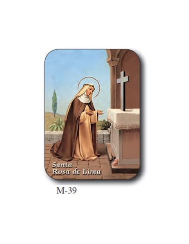 Estampa Mini M-40 Virgen De Lourdes...