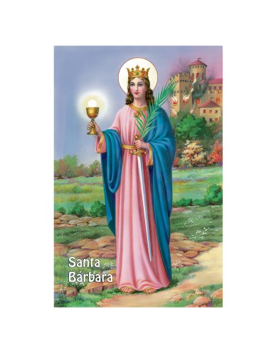 Lamina 21X30 Cm Santa Barbara Sa-48