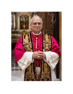 Lamina 21X30cm Papa Leon...