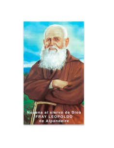 Novena Virgen Del Perpetuo...