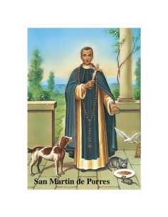 Lamina 21X30 Cm Santa Lucia...