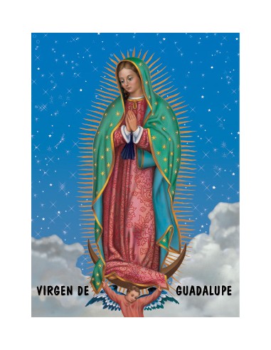 Lamina 21X30 Cm Virgen De Guadalupe...