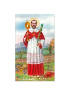 Novena San Francisco Javier...