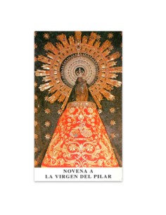 Novena Virgen De Lourdes 7....