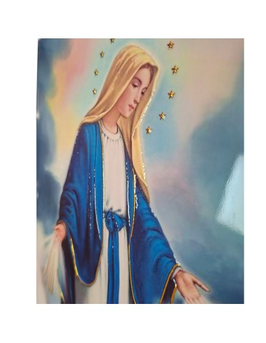 Placa ceramica 3D Virgen Milagrosa...