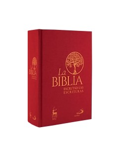 Benedicto XVI Una Vida