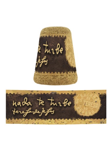 Funda Biblia Jerusalen Ddb...